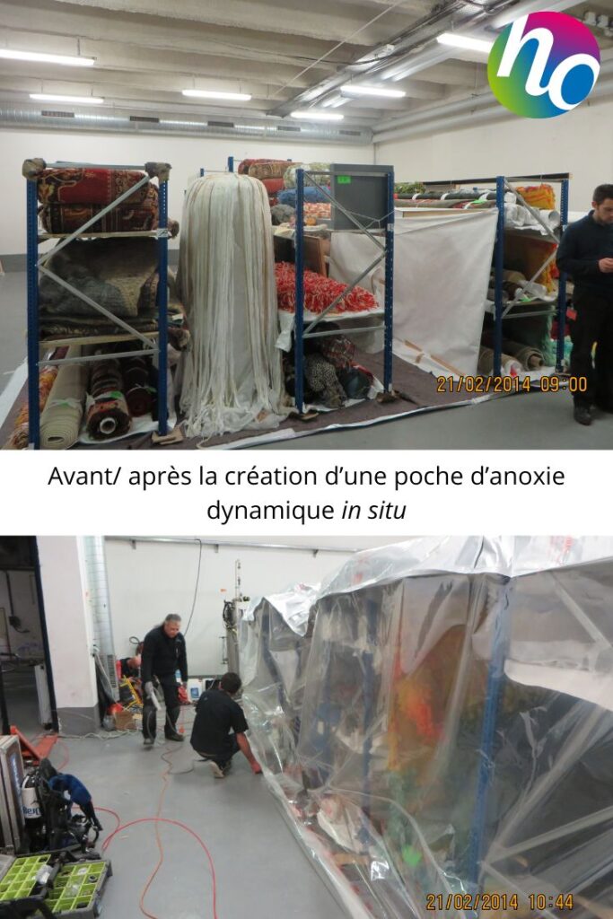 Poche d'anoxie dynamique in situ